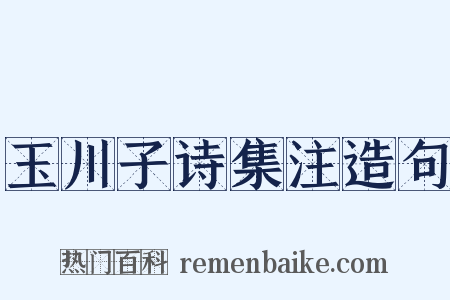 玉川子诗集注造句是什么意思的图片